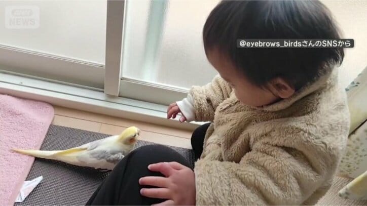 とても仲良し
