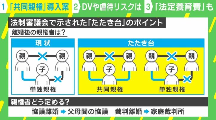 「相手と関わりたくない」反対の声も…離婚後の「共同親権」導入加速 虐待やDVのリスクは? 専門家に聞く