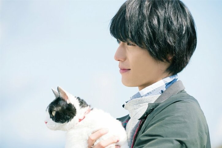福士蒼汰主演『旅猫リポート』 おかしく、切なく、あたたかい長尺予告映像＆新場面写真解禁