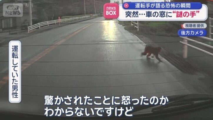 「車に体当たりしてそのまま去った」