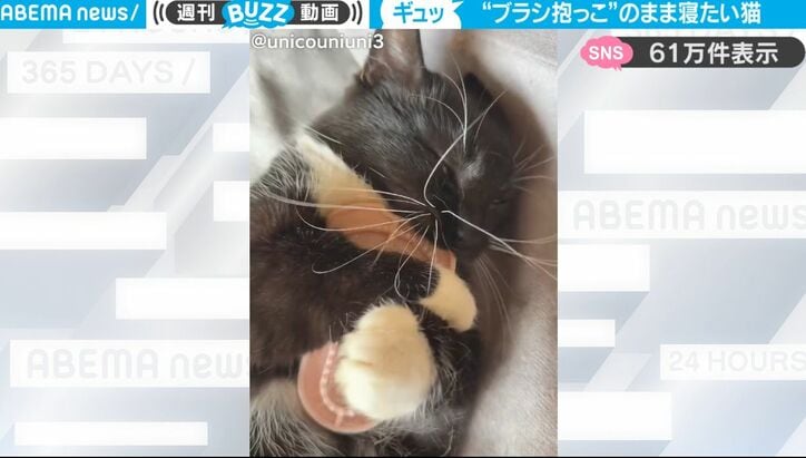 【写真・画像】きゅうりを食べてほしいだけなのに…食べ物をめぐり鳥たちが激しすぎる口喧嘩！激しく言い争う様子に反響「全員仲悪くてワロタｗ」　1枚目