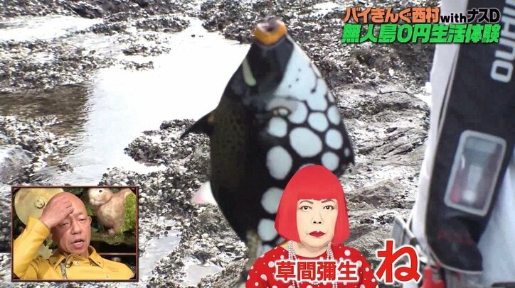 無人島で釣り上がった不思議な模様の魚にバイきんぐ大興奮…！ 小峠英二「草間彌生みたい」