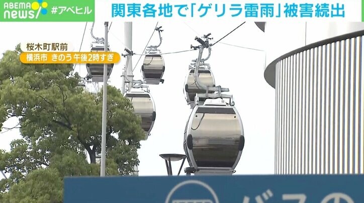 道路が冠水、倒木直撃で納屋が半壊…関東各地で「ゲリラ雷雨」による被害続出