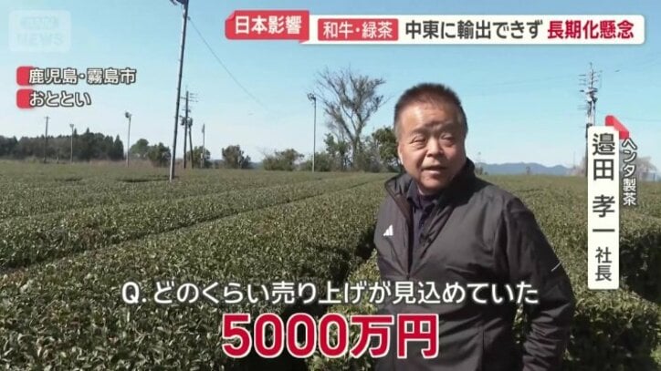 見込めていた売り上げは5000万円