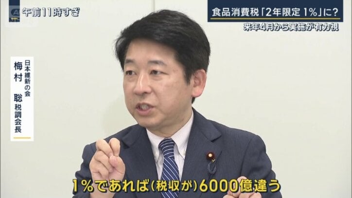 日本維新の会　梅村聡税調会長