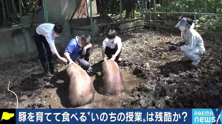 「30年が経つが、あの時の結論には今でも揺れている」豚の飼育を通じて命の尊さを学ぶ授業、教師の苦悩とは