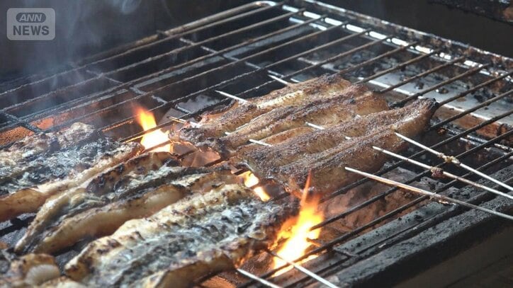 “土用の丑の日”うなぎが安い 稚魚が豊漁で仕入れ値が低下 光熱費高騰などをカバー