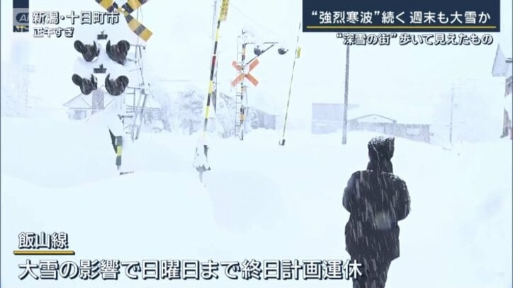 寺崎比呂美ディレクター