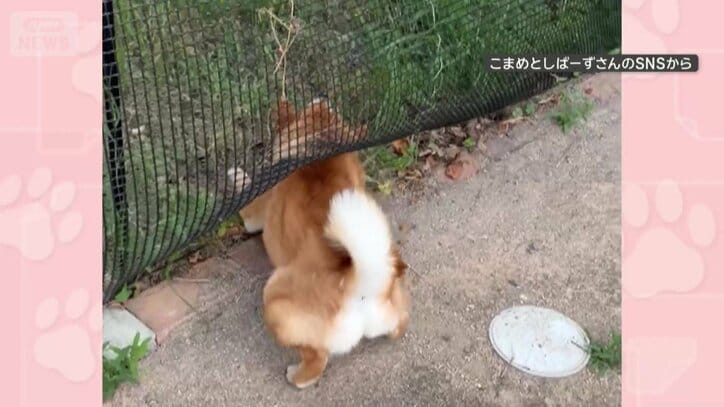 急いで体を戻す