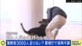 警視庁で3000人不足…110番通報→到着時間が1.3倍に 警察の“人手不足”がはらむジレンマ「やめさせないことが最重要になってしまっている」