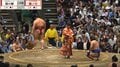 「スゴイ髪型の人いる」大相撲、最前列に“異質”な存在感を放つ著名人が鎮座 「どうしても目に入る」ざわめき広がる