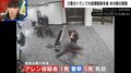 両手に銃を抱え→ダッシュでゲートを走り抜ける容疑者…カメラが捉えたトランプ氏暗殺未遂事件の一幕