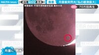 【映像】学芸員が捉えた貴重映像の数々