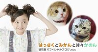 谷花音、妹のために “猫”弁当を作る「可愛い」「いいお母さんになる」と話題