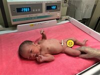 水内猛『産まれました～』