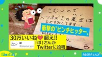 【映像】ハリネズミのピンチヒッターが衝撃