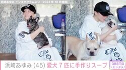 浜崎あゆみ、愛犬7匹に野菜たっぷりスープを手作り「フガフガ喜んで食べてくれるといーなぁー」