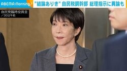 “結論ありき”自民税調幹部 総理指示に異論も