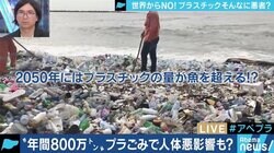 タピオカブームでストロー需要増、プラスチックは本当に悪なのか？ リサイクルのあり方めぐり激論