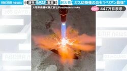 ドリアンの皮に3000度まで達するガス切断機で炎を吹きつけても“裏側と断面”は…驚きの結果に「防火服に最適」「ゴジラの皮膚みたいｗ」と反響