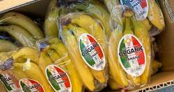  田中健、妻が差し入れ用に約120本購入したもの「買い占めたそうです」 