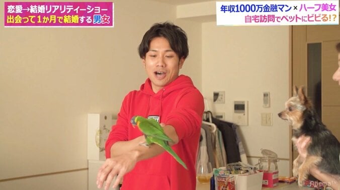 藤森慎吾、彼女のペットは爬虫類がベスト！？種類よりも「臭い」が重要 4枚目