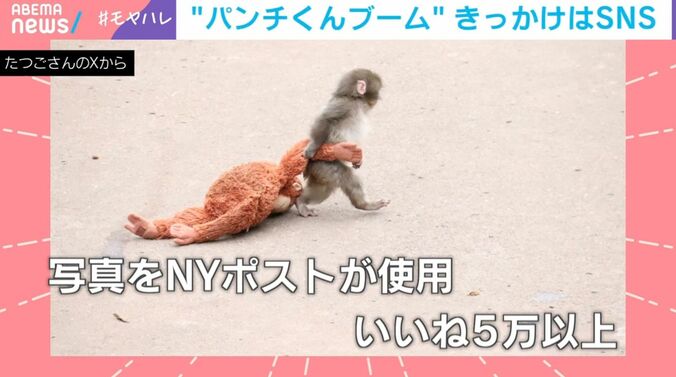 パンチくんが世界でバズった写真