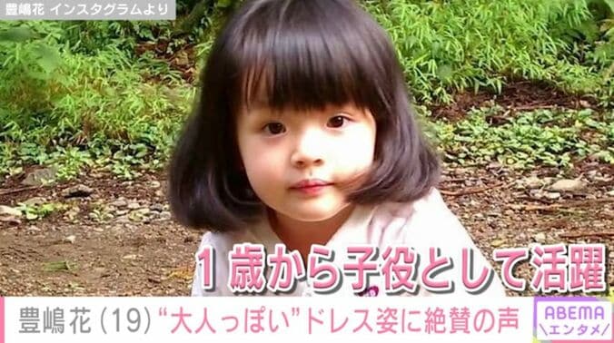 豊嶋花