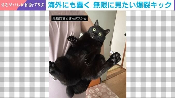 あさりちゃん