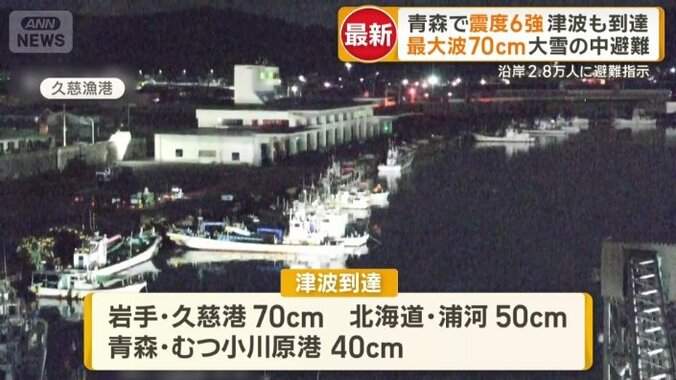 70cmの津波が到達した岩手・久慈港