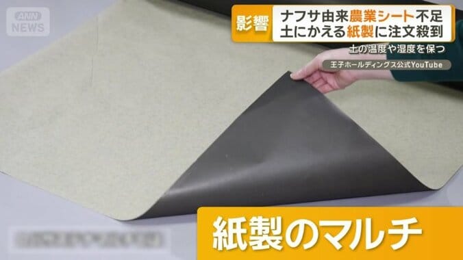 紙製のマルチ