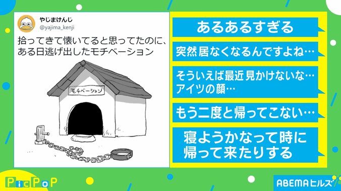 帰ってきて… 小屋から逃げ出したものに共感の声殺到 投稿主「いまだに逃げ出したまま」 1枚目