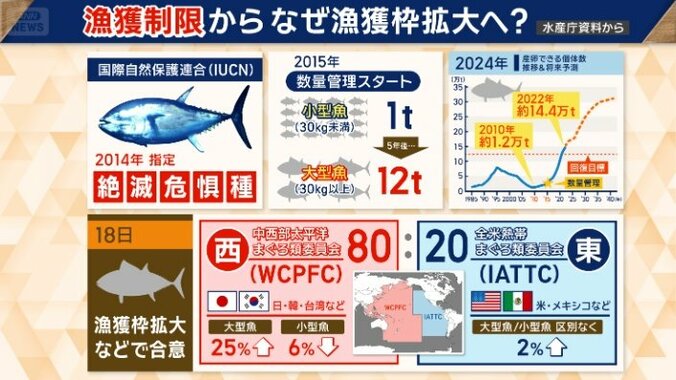 なぜ漁獲枠拡大へ？