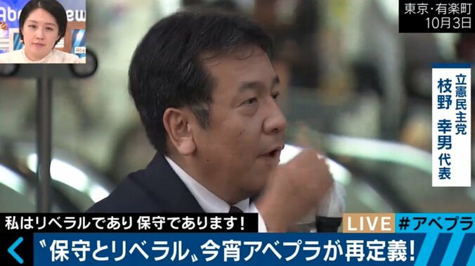 「憲法改正するから自民党はリベラル」10～20代の政治観とは？「保守」「リベラル」を再定義 2枚目