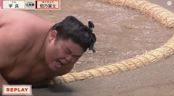 「あんなに痛がるなんて」伯乃富士、宇良を撃破も“見たことない”形相 「ただモノじゃない」識者は驚嘆 3枚目