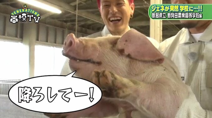 自由すぎてメンバーを翻弄？　GENERATIONS中務裕太の“クセ強”名シーン3選 7枚目