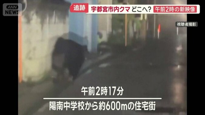 細い路地を走っていく