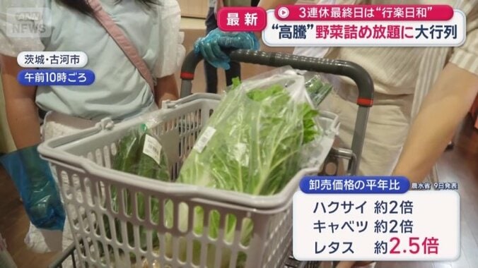 レタスは平年の2.5倍ほど