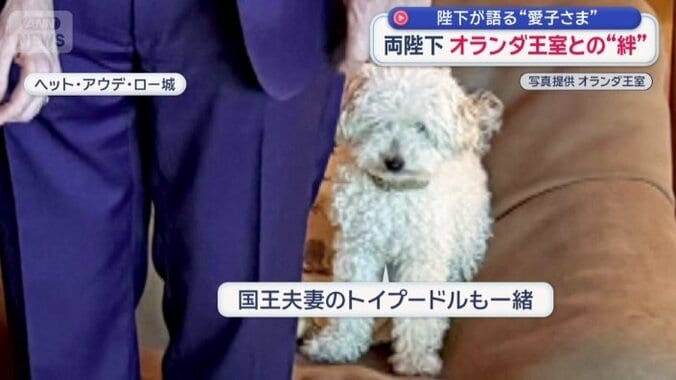 国王夫妻の犬も一緒