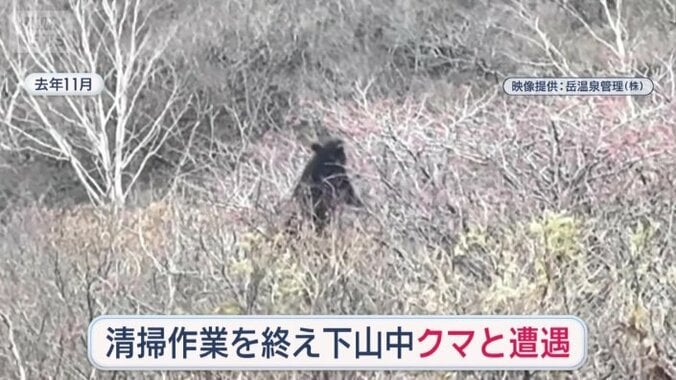 湯守たちがクマと遭遇した時の様子