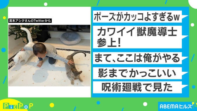 「影までかっこいい」2歳児の“猫の呼吸”に反響相次ぐ 投稿主を取材「普段からコミカルな息子」 1枚目