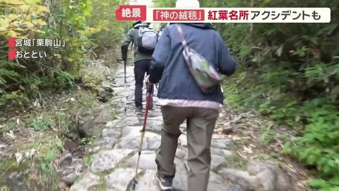 急な登山道に苦戦
