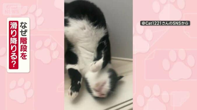 なぜ階段を滑り降りる？