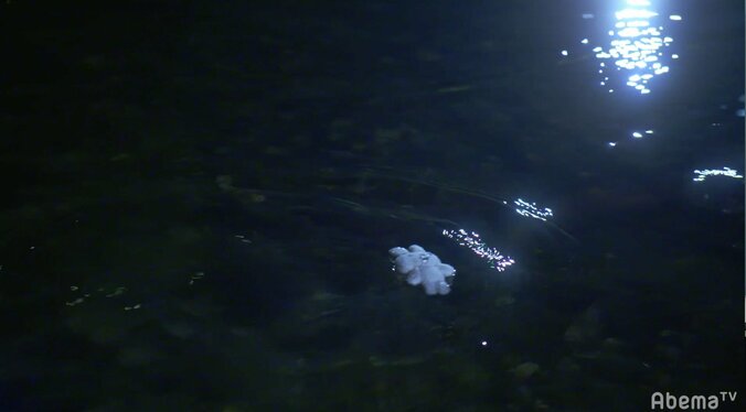 あかり（橋本環奈）が目覚めると、隣には星野（古川雄輝）の姿が…！　『1ページの恋』第2話で衝撃展開 9枚目