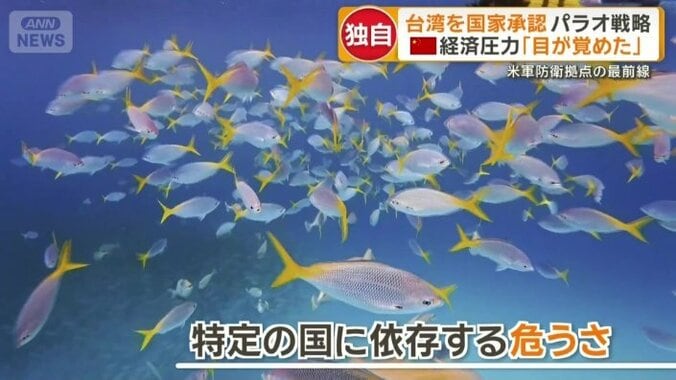 自らの手で経済を回す「多角化戦略」へかじ切り