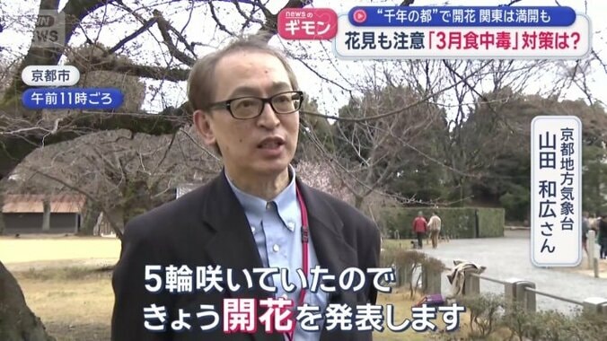 京都でも、ソメイヨシノの開花発表