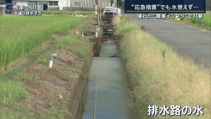 排水路の水