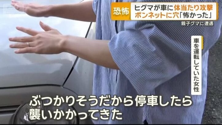 車を運転していた女性