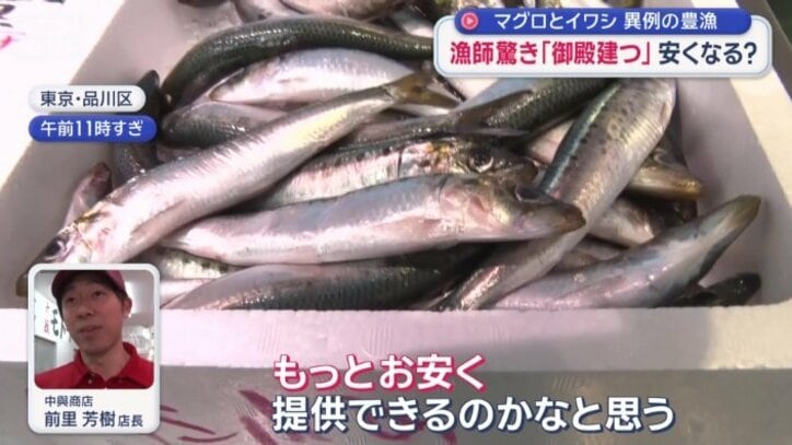 まだとれれば…