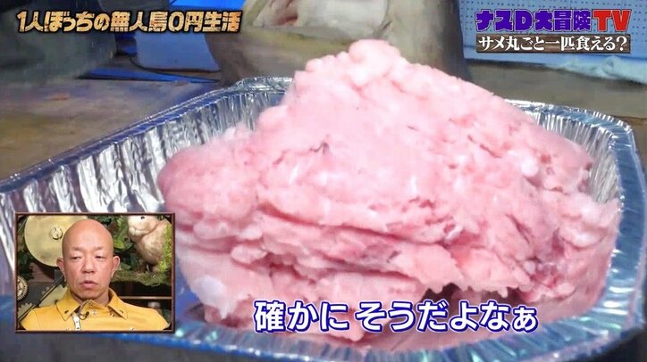 「サメを知る事が地球全体を考える事に繋がっている」ナスDが説く、奥深きサメの歴史とその生態